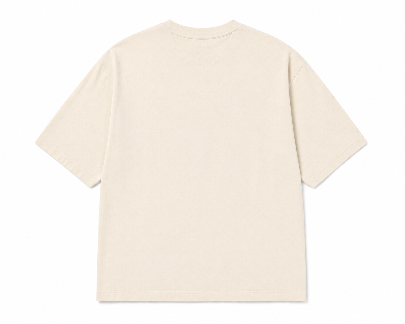 LES AVENTURES PARIS T-shirt bird